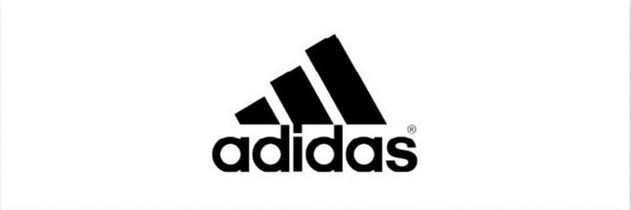 The Mountain Logo: 1991