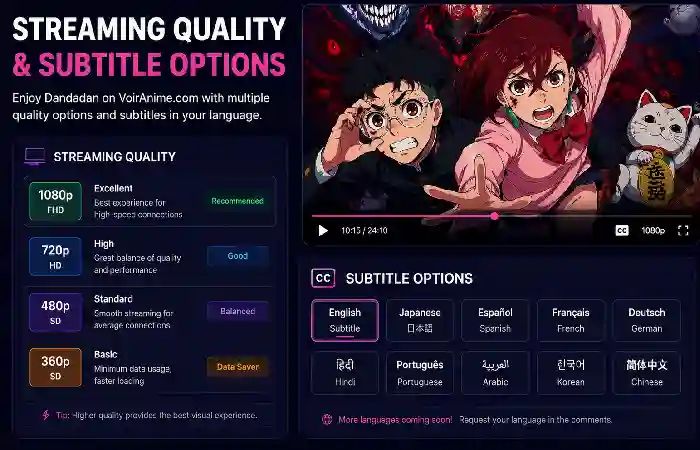 streaming quality opitons